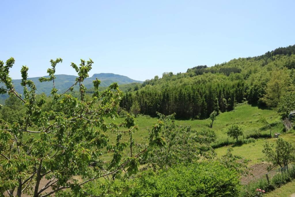 La Sala Vecchia - Lovely Tuscan Holiday House Badia Prataglia, Casentino Valley Chiusi della Verna Bagian luar foto