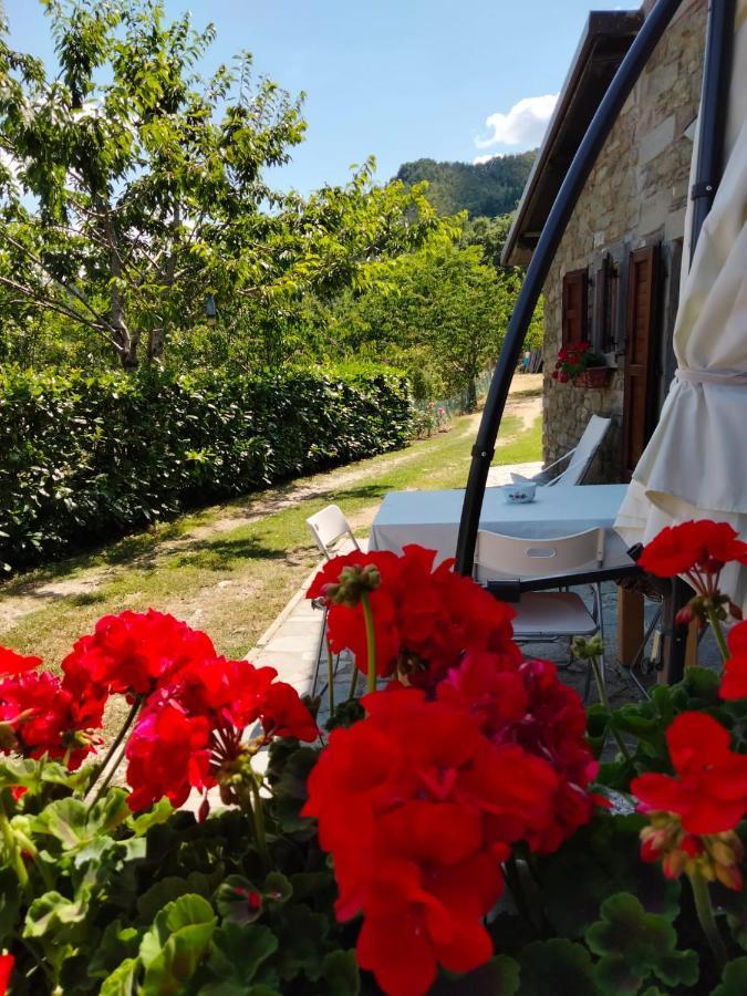 La Sala Vecchia - Lovely Tuscan Holiday House Badia Prataglia, Casentino Valley Chiusi della Verna Bagian luar foto