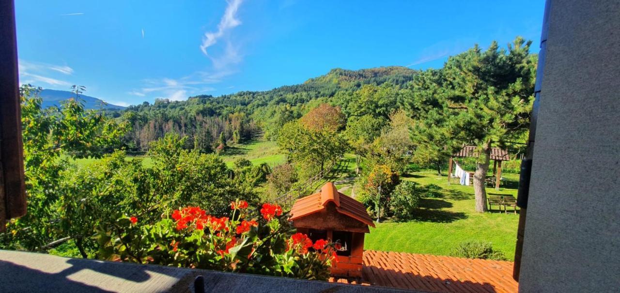 La Sala Vecchia - Lovely Tuscan Holiday House Badia Prataglia, Casentino Valley Chiusi della Verna Bagian luar foto